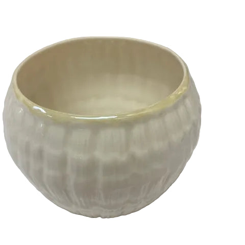 Belleek Pottery Limpet Open Sugar