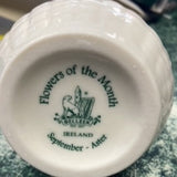 Belleek Pottery Flower Box September -Aster