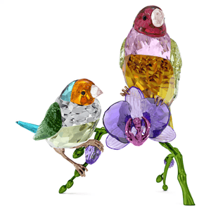 Swarovski 2024 NEW Idyllia SCS Annual Edition Gouldian Finches