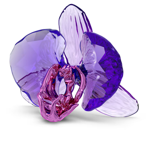 Swarovski 2024 NEW SCS Idyllia Orchid Petal