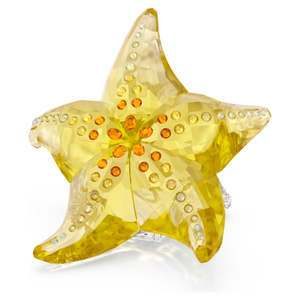 Swarovski 2025 SCS Starfish