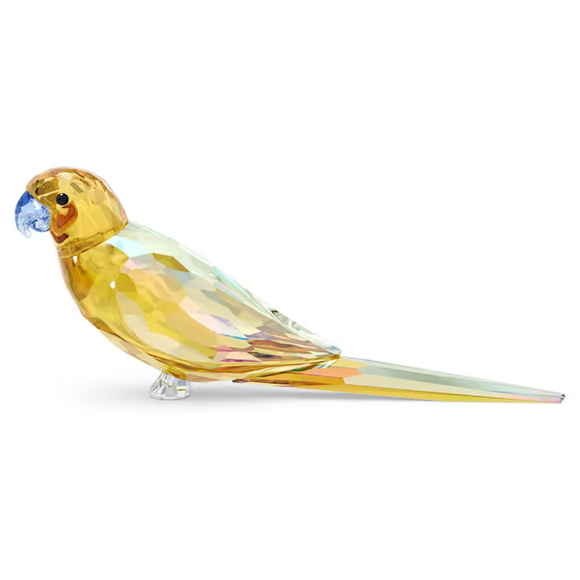 Swarovski New Jungle Beats Yellow Parakeet Lechee
